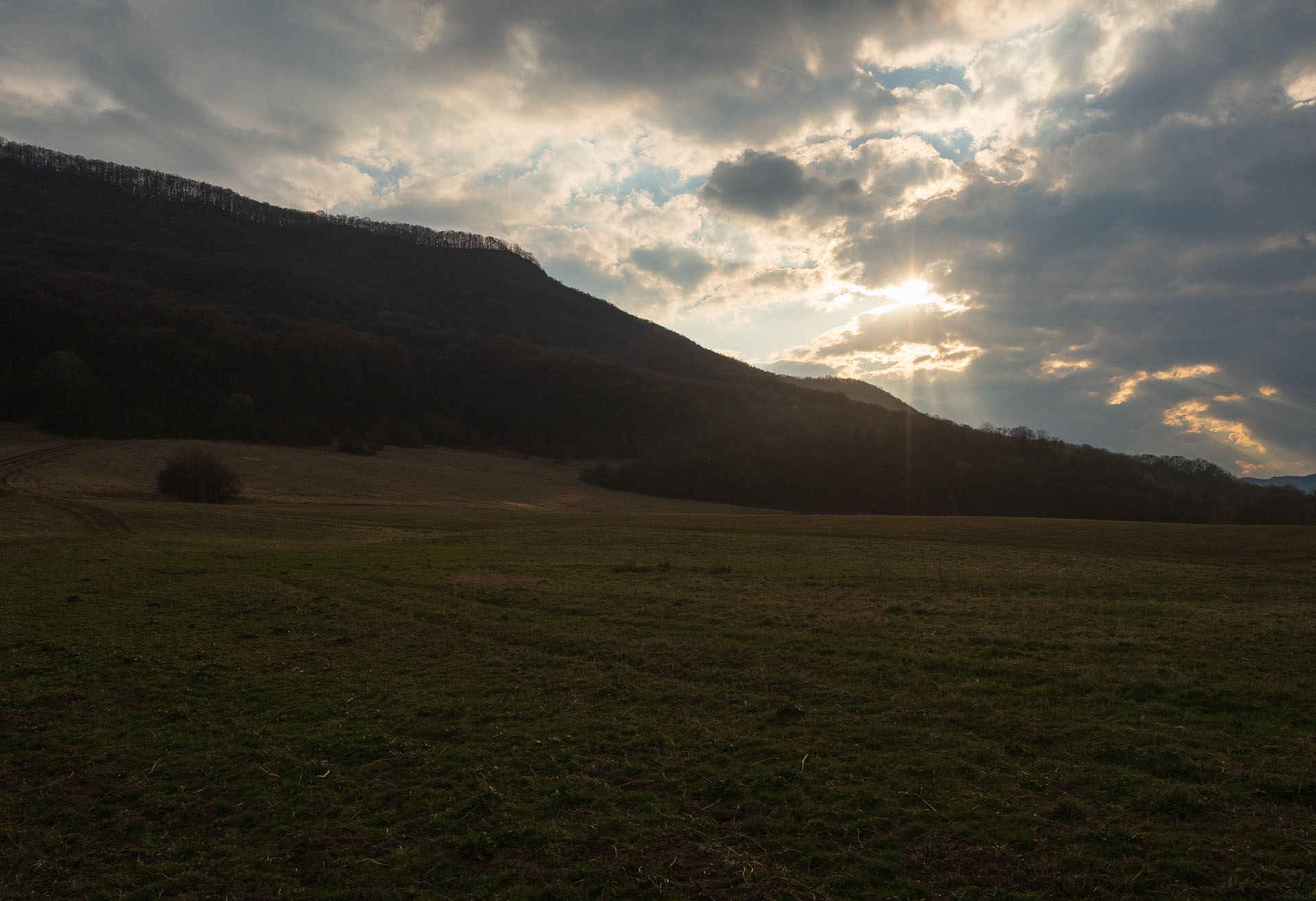 Brzotínska skala z Jovíc (Slovenský kras)