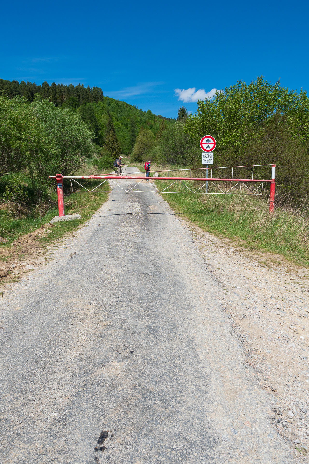 Bukovec zo Švedlára (Volovské vrchy)