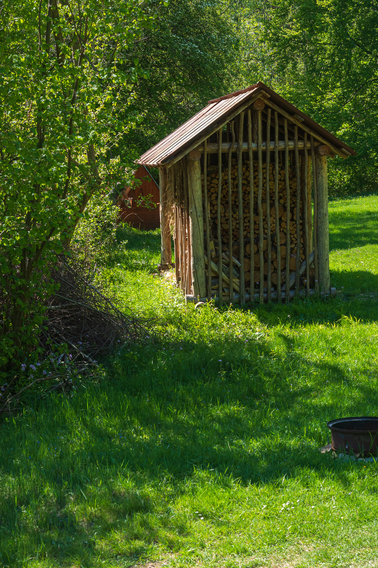 Bukovec zo Švedlára (Volovské vrchy)