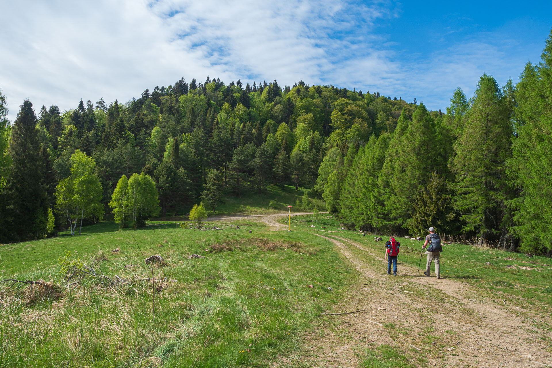 Bukovec zo Švedlára (Volovské vrchy)