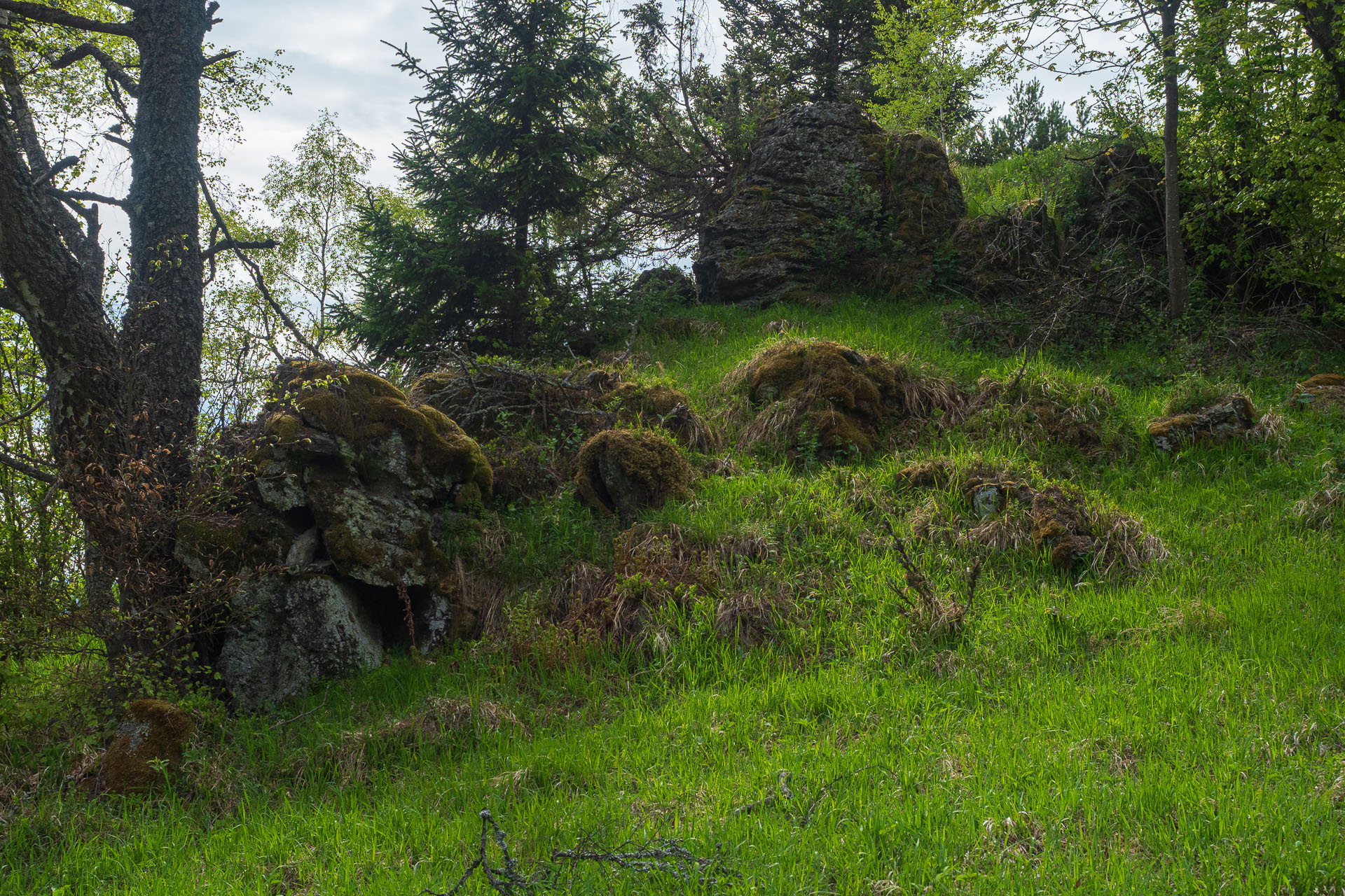 Bukovec zo Švedlára (Volovské vrchy)