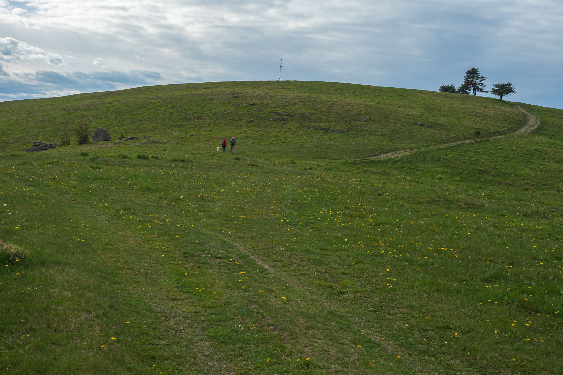 Bukovec zo Švedlára (Volovské vrchy)