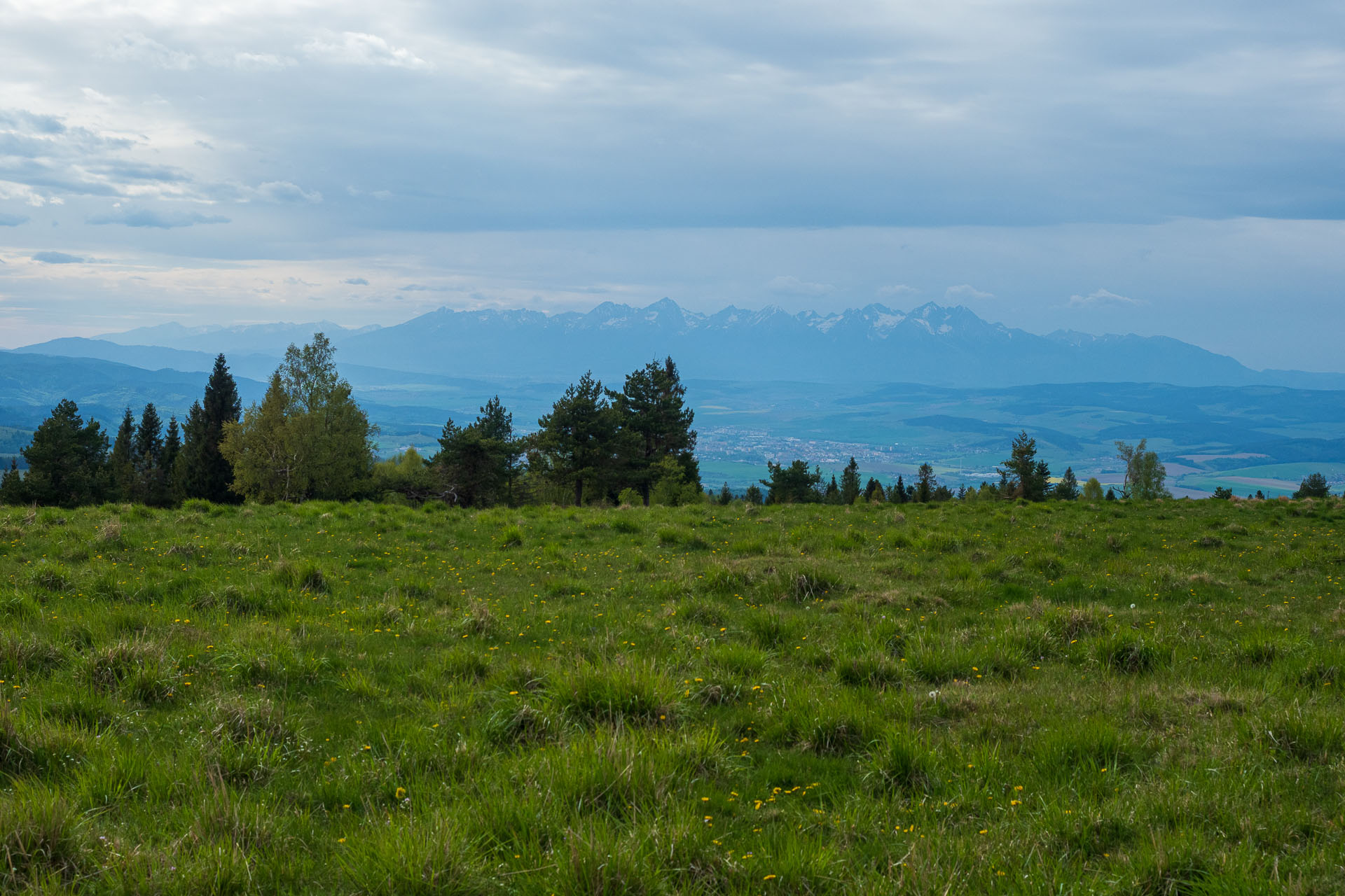 Bukovec zo Švedlára (Volovské vrchy)