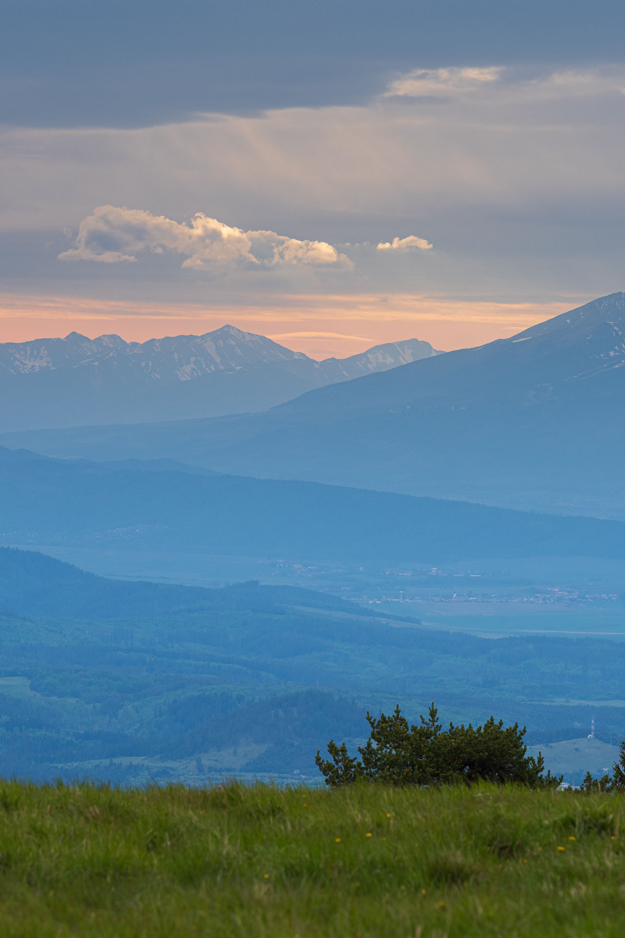 Bukovec zo Švedlára (Volovské vrchy)