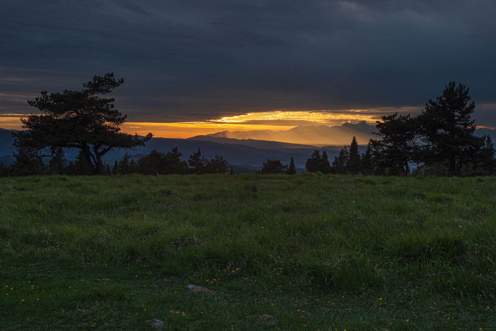 Bukovec zo Švedlára (Volovské vrchy)