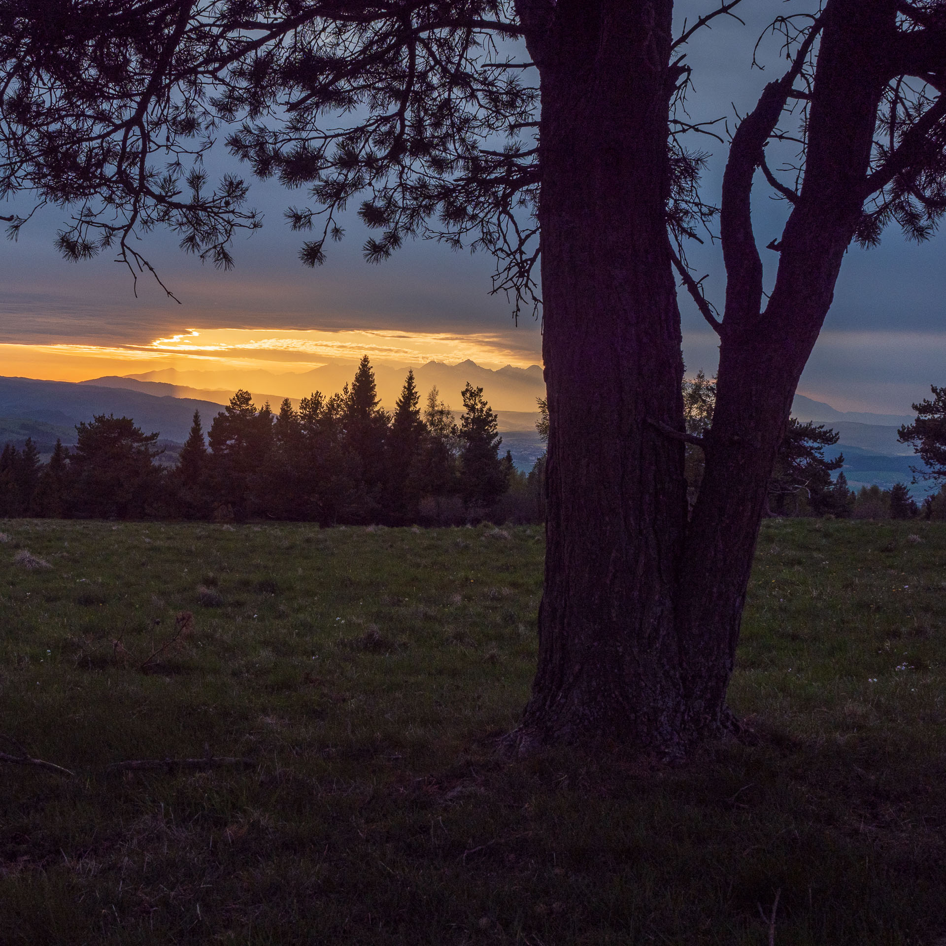 Bukovec zo Švedlára (Volovské vrchy)