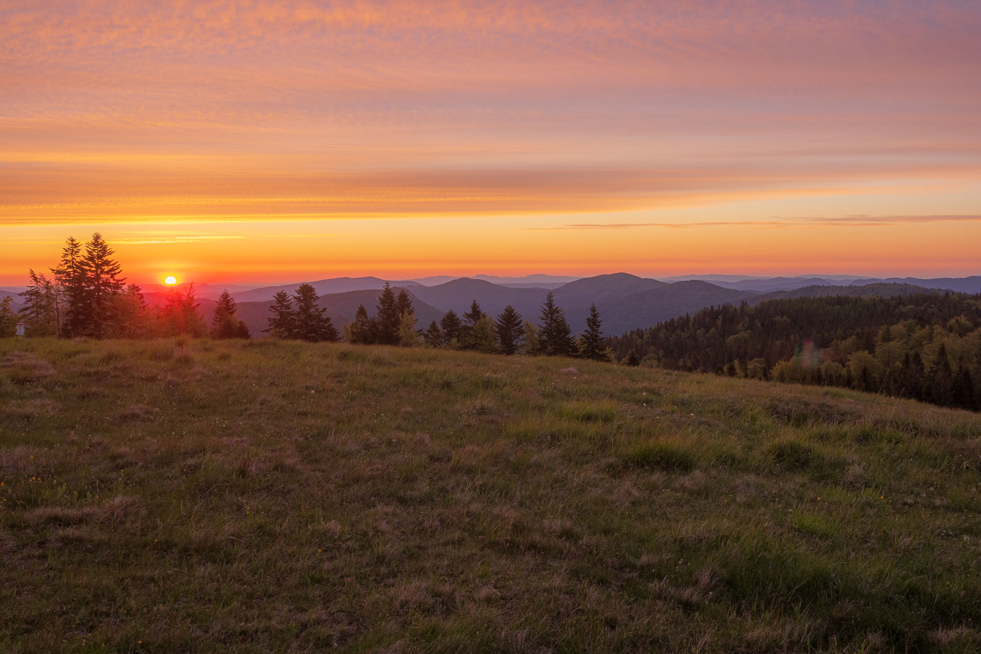 Bukovec zo Švedlára (Volovské vrchy)