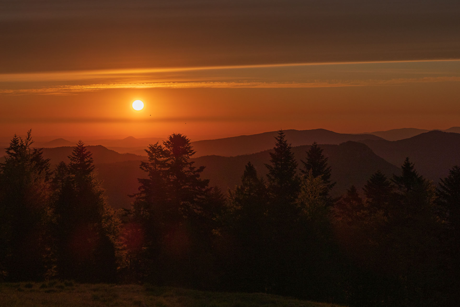 Bukovec zo Švedlára (Volovské vrchy)