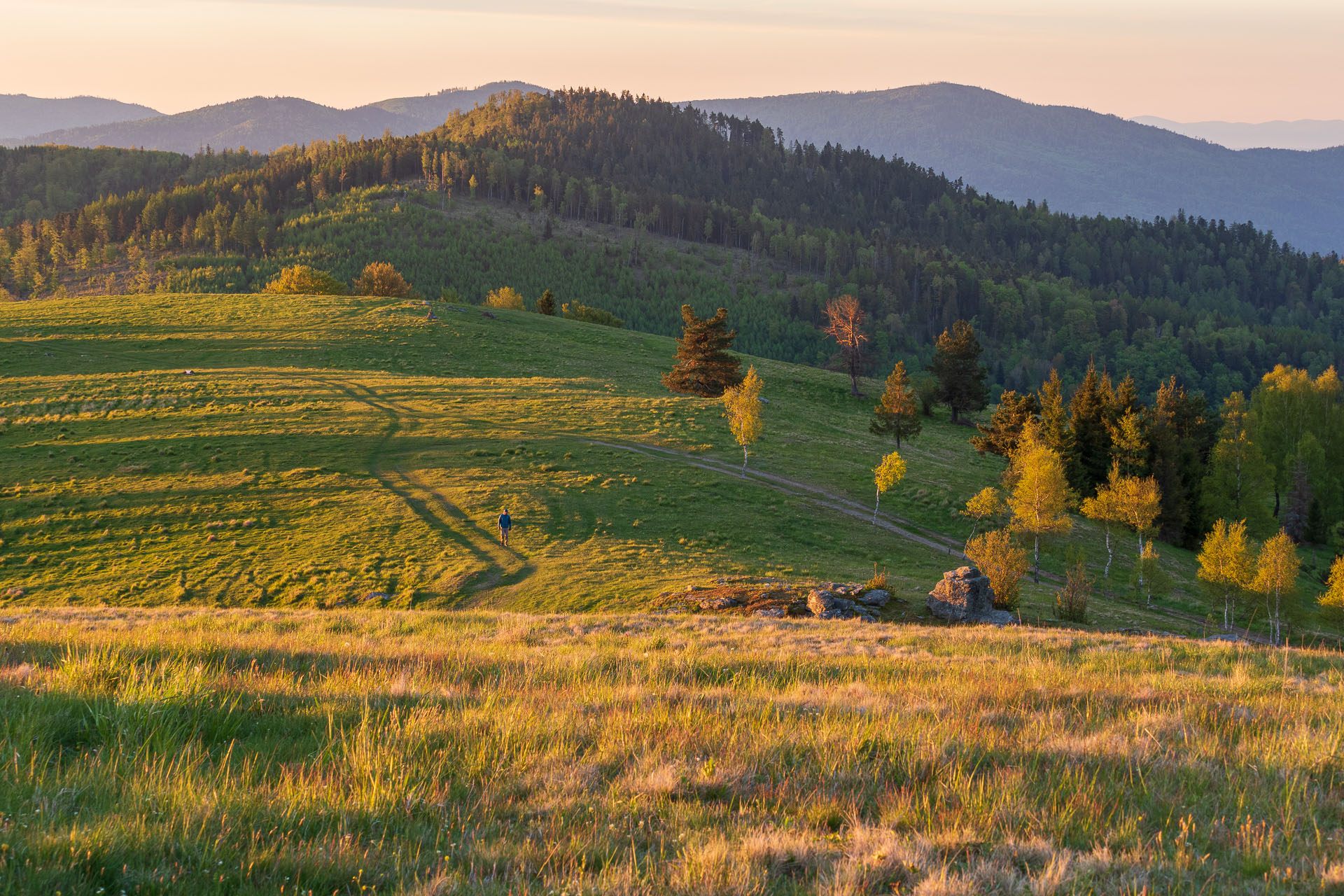 Bukovec zo Švedlára (Volovské vrchy)