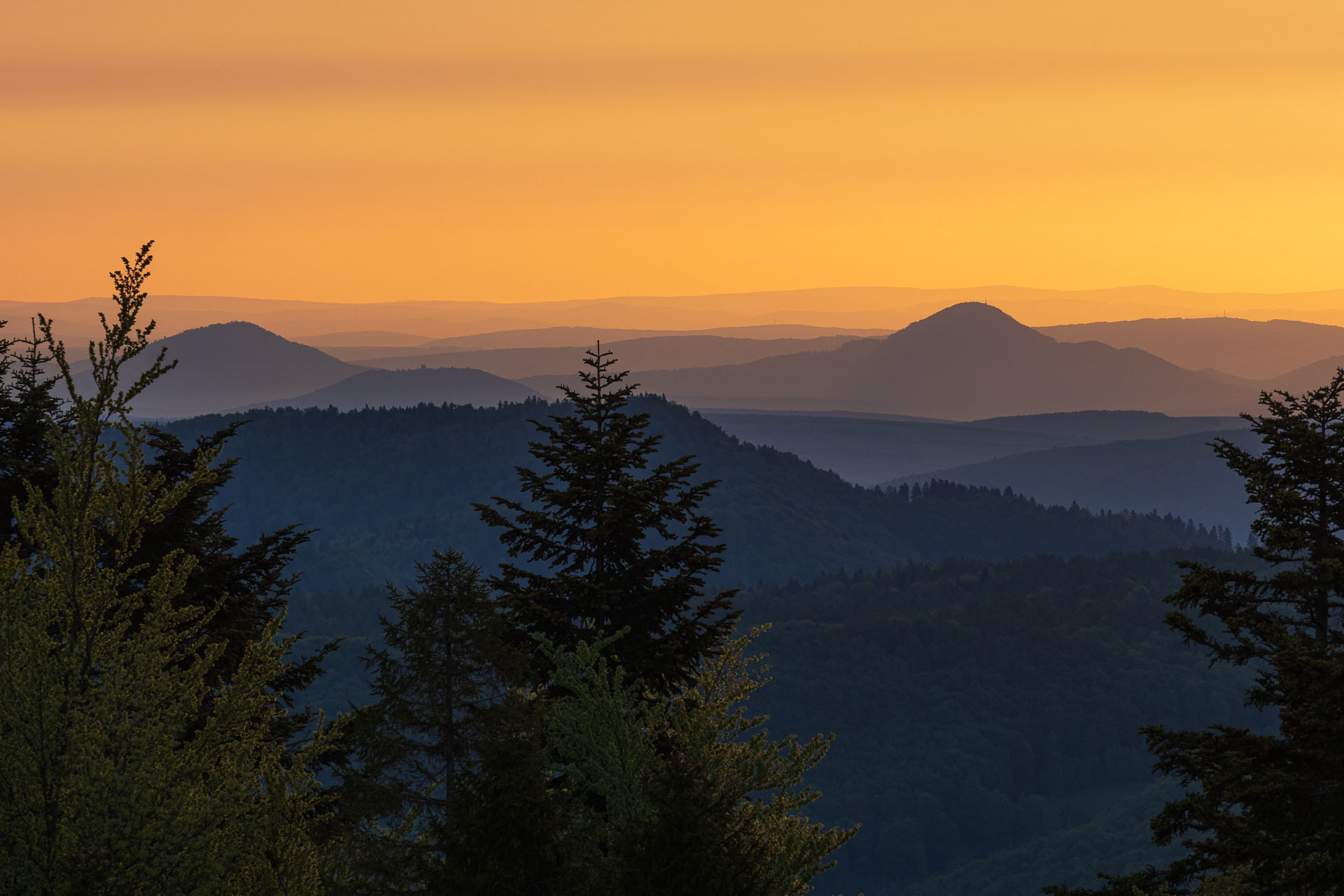 Bukovec zo Švedlára (Volovské vrchy)