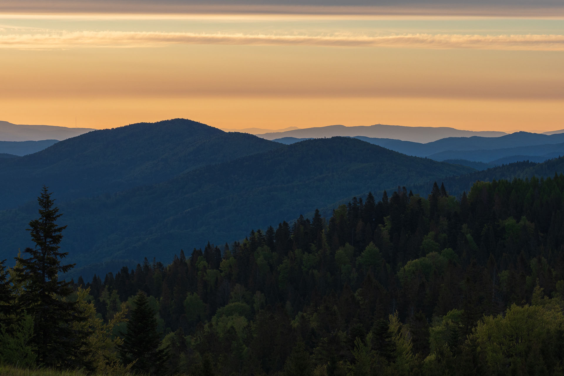 Bukovec zo Švedlára (Volovské vrchy)