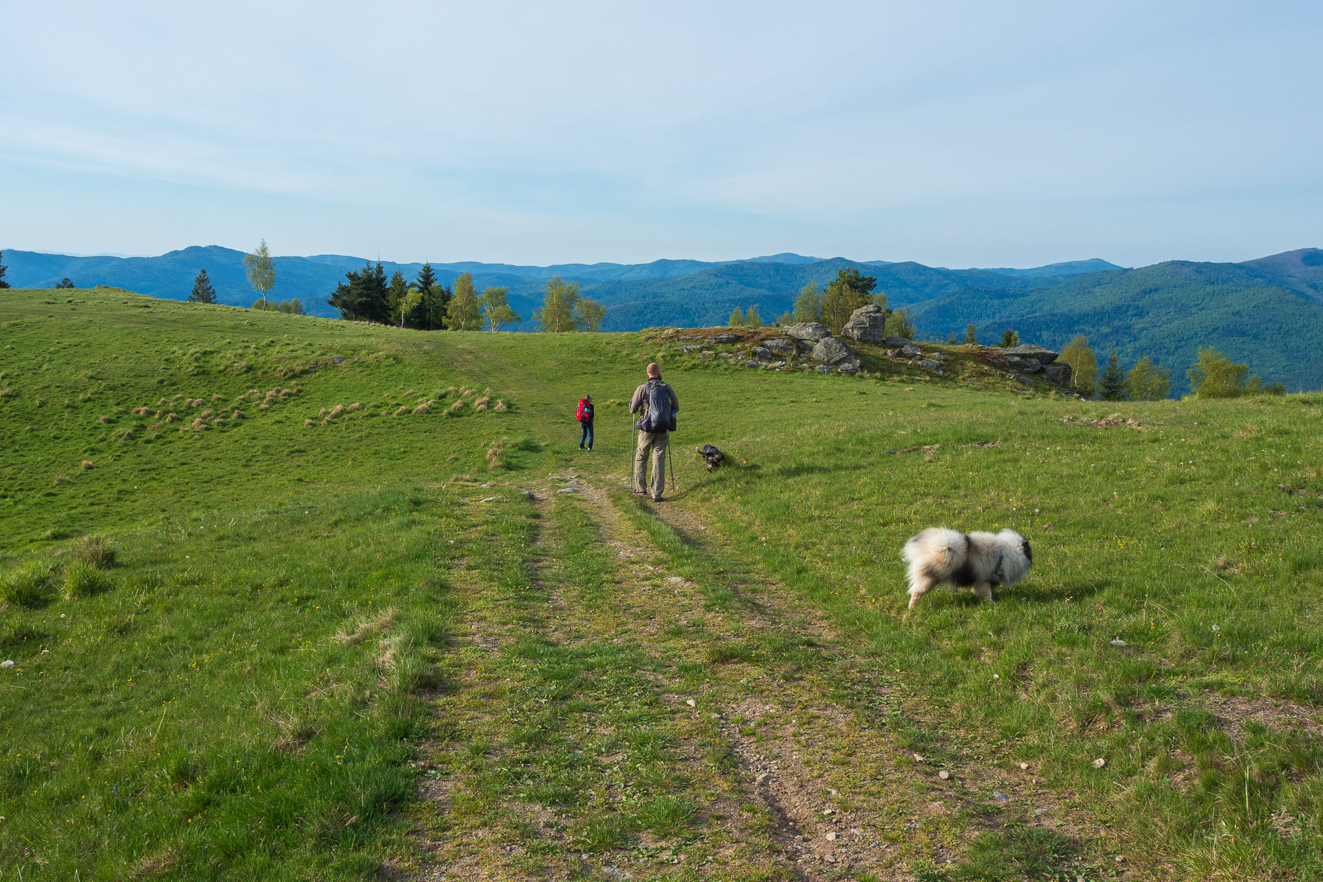 Bukovec zo Švedlára (Volovské vrchy)