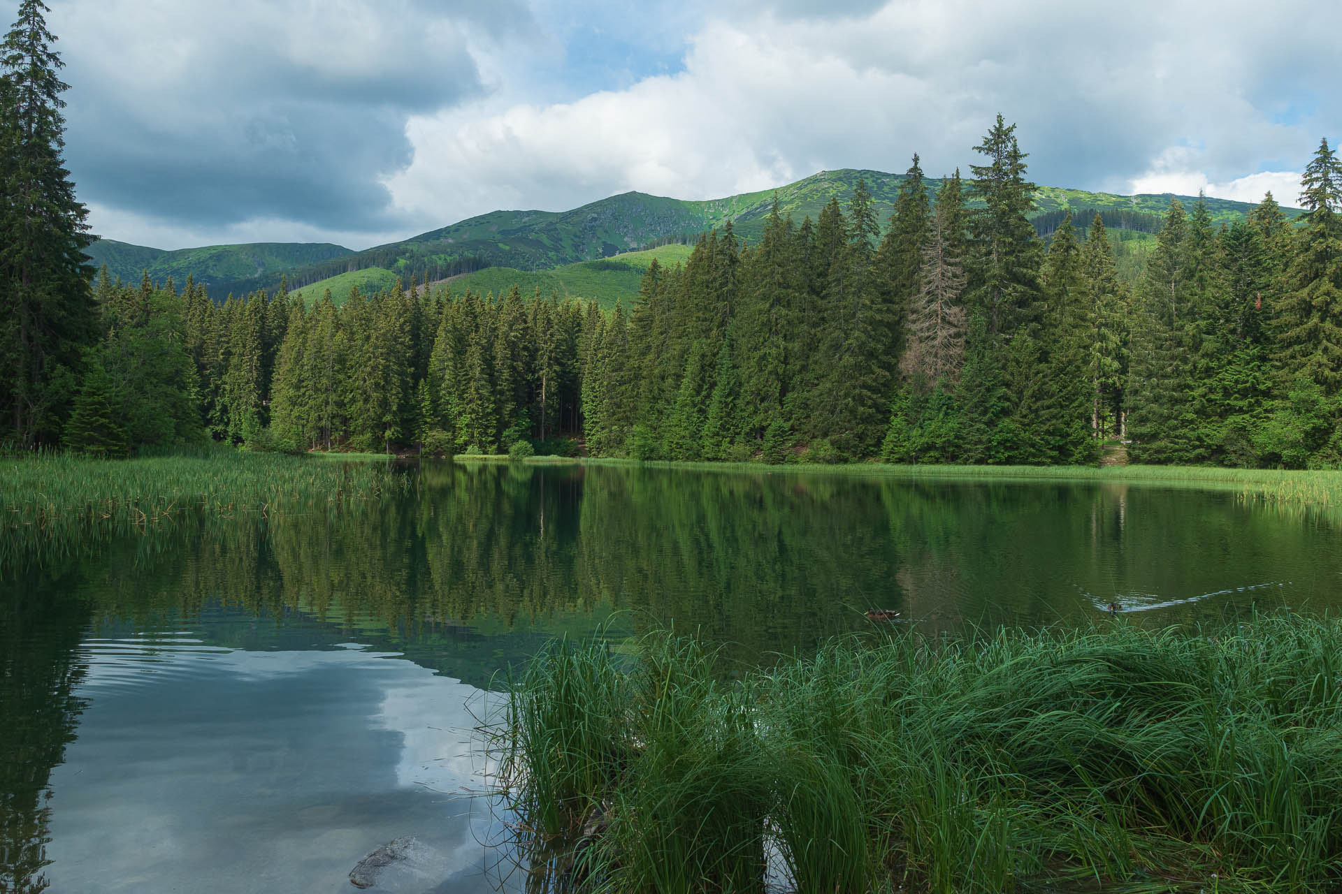 Chabenec z Jasnej pod Chopkom (Nízke Tatry)