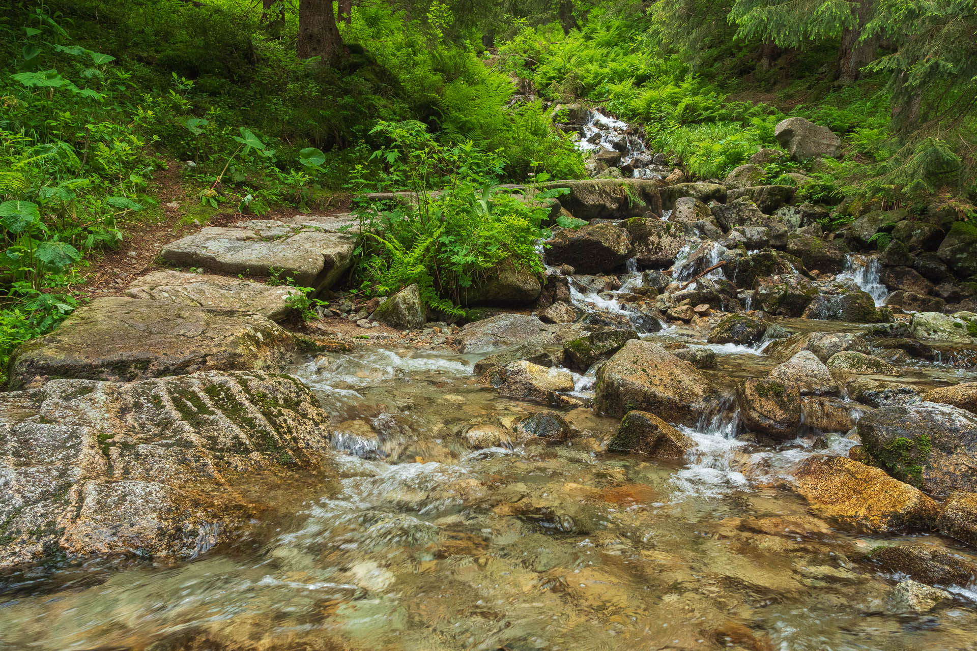 Chabenec z Jasnej pod Chopkom (Nízke Tatry)