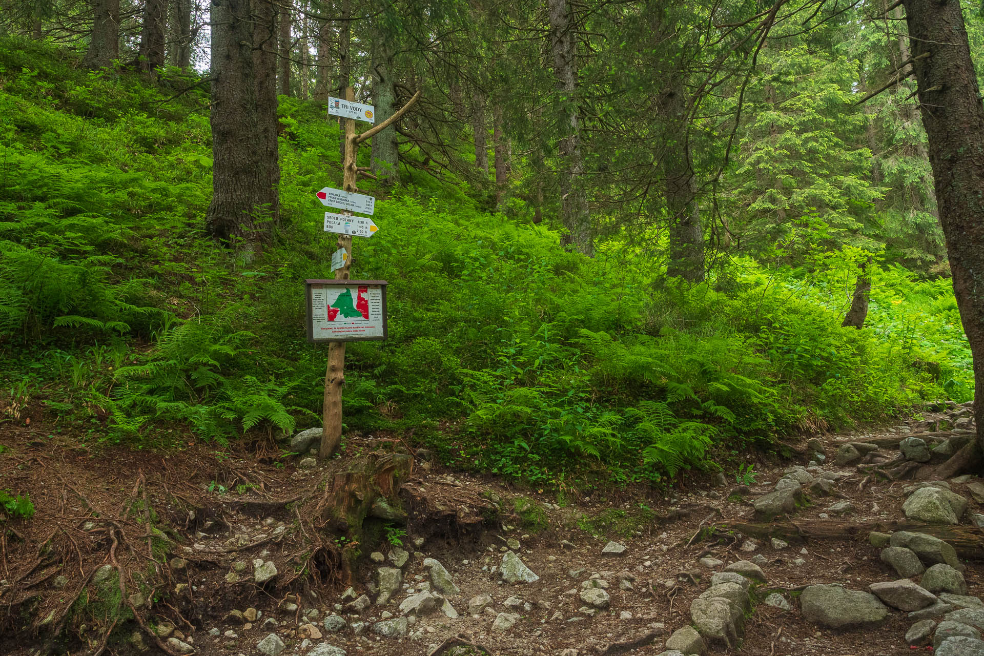 Chabenec z Jasnej pod Chopkom (Nízke Tatry)