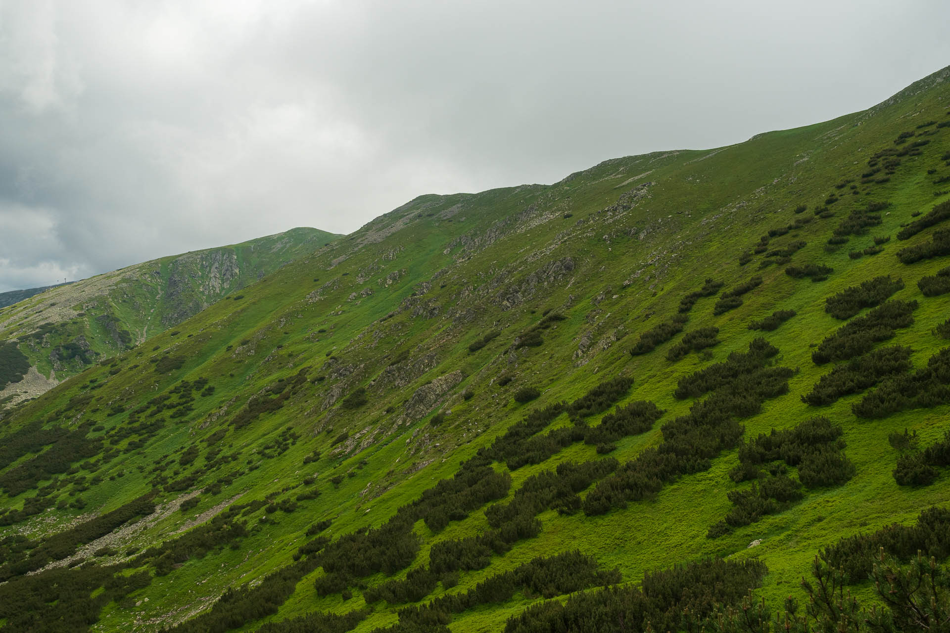 Chabenec z Jasnej pod Chopkom (Nízke Tatry)