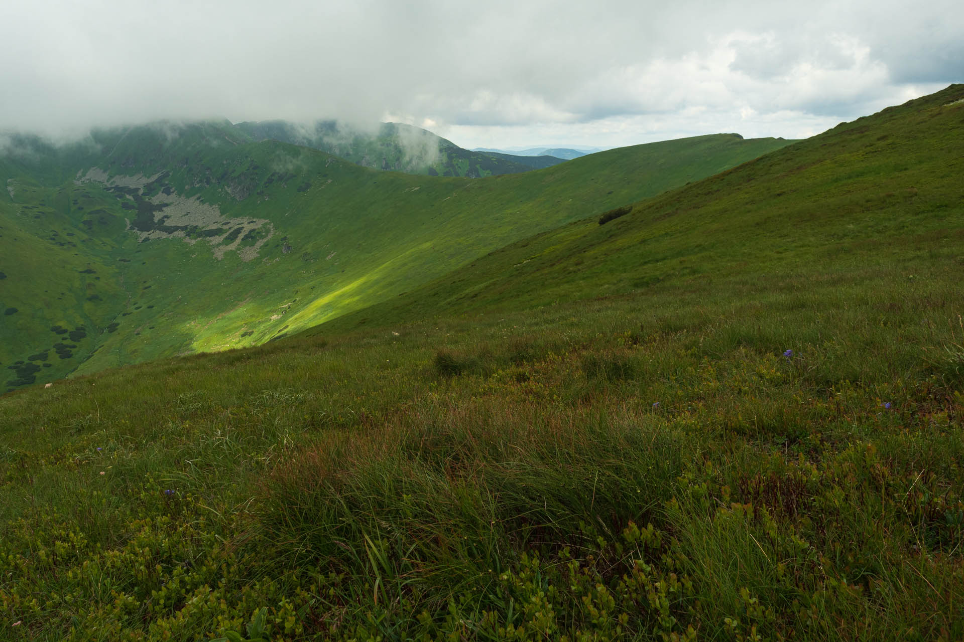 Chabenec z Jasnej pod Chopkom (Nízke Tatry)