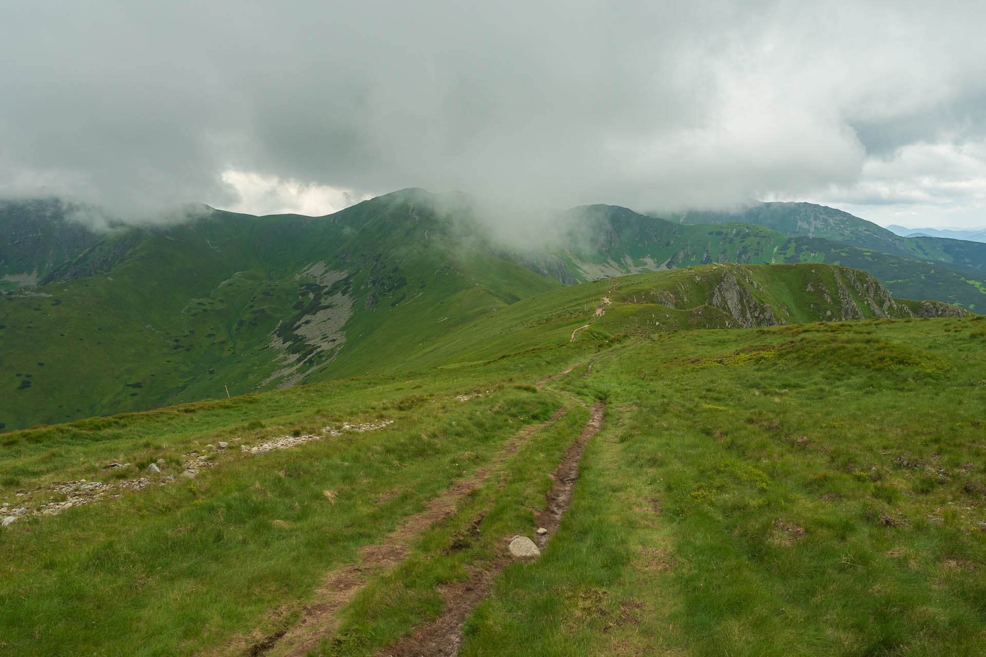 Chabenec z Jasnej pod Chopkom (Nízke Tatry)