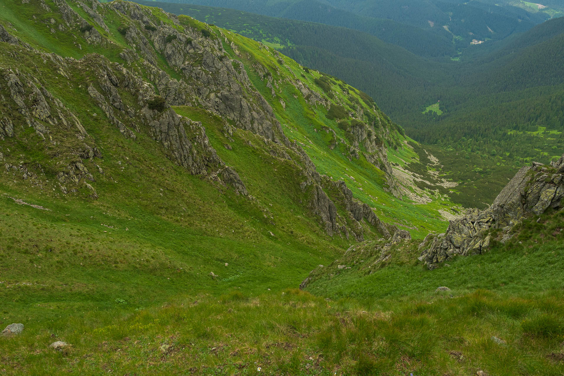 Chabenec z Jasnej pod Chopkom (Nízke Tatry)