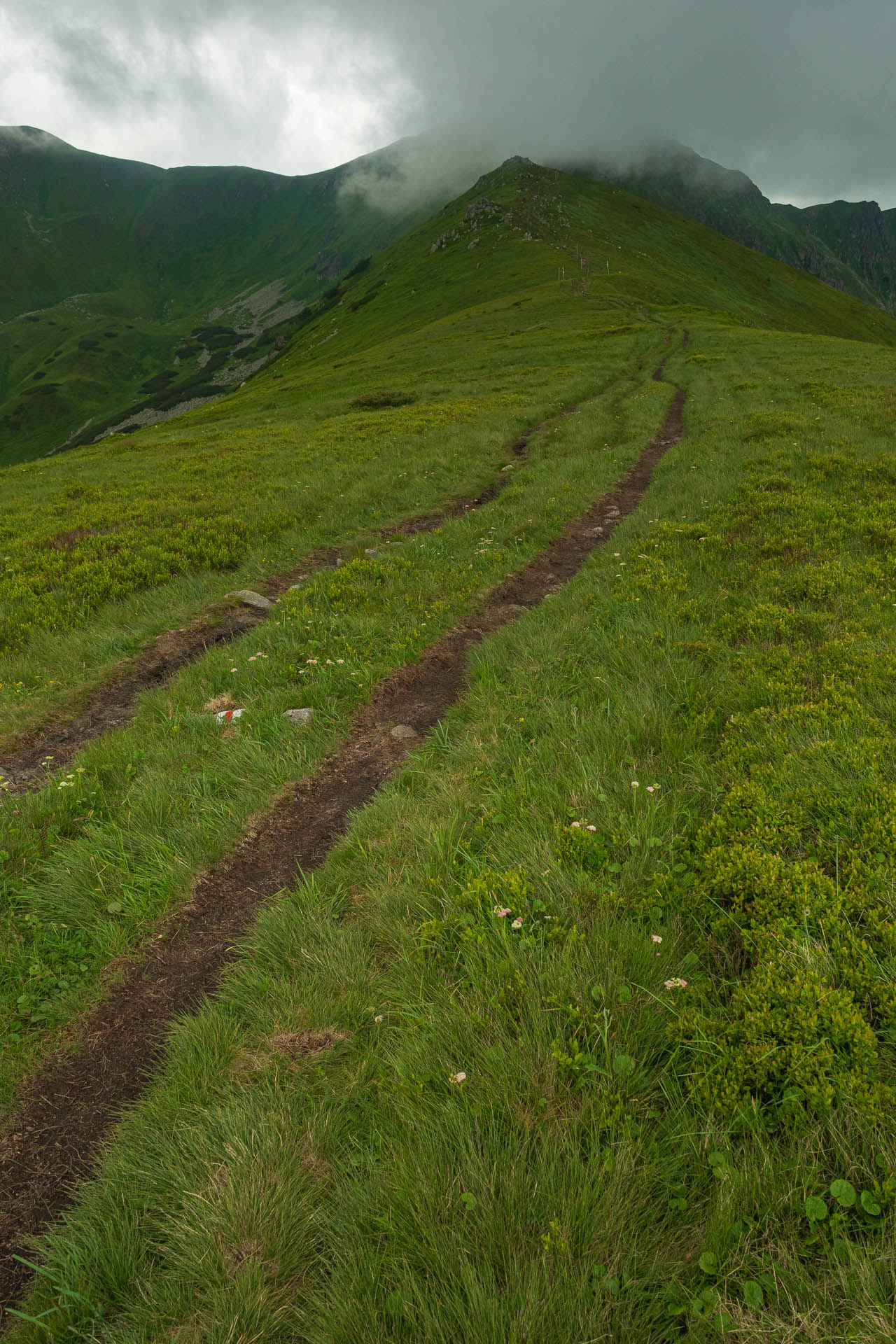 Chabenec z Jasnej pod Chopkom (Nízke Tatry)