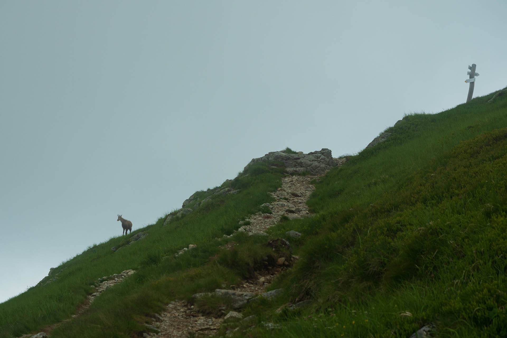 Chabenec z Jasnej pod Chopkom (Nízke Tatry)