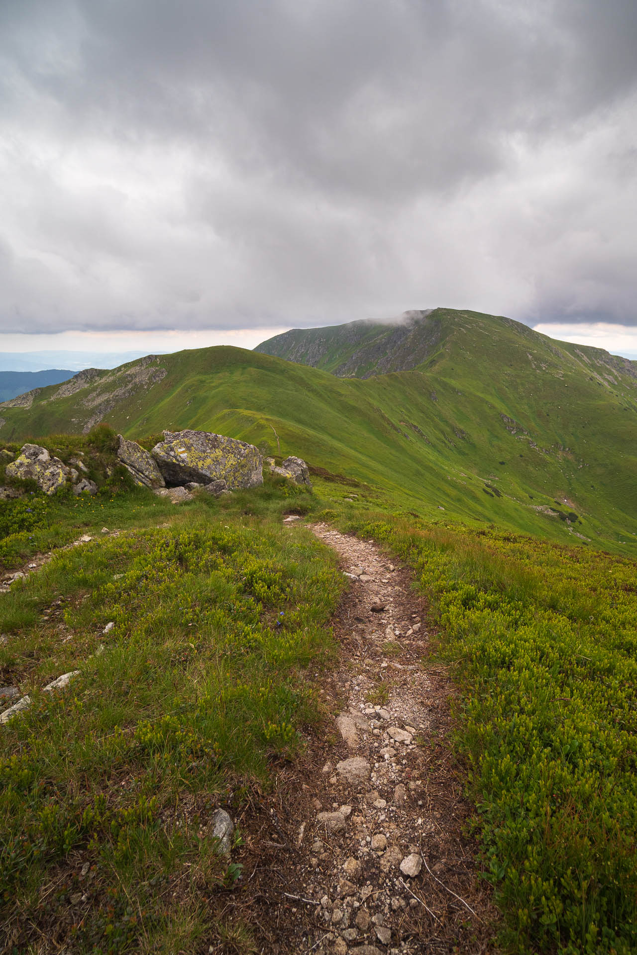 Chabenec z Jasnej pod Chopkom (Nízke Tatry)