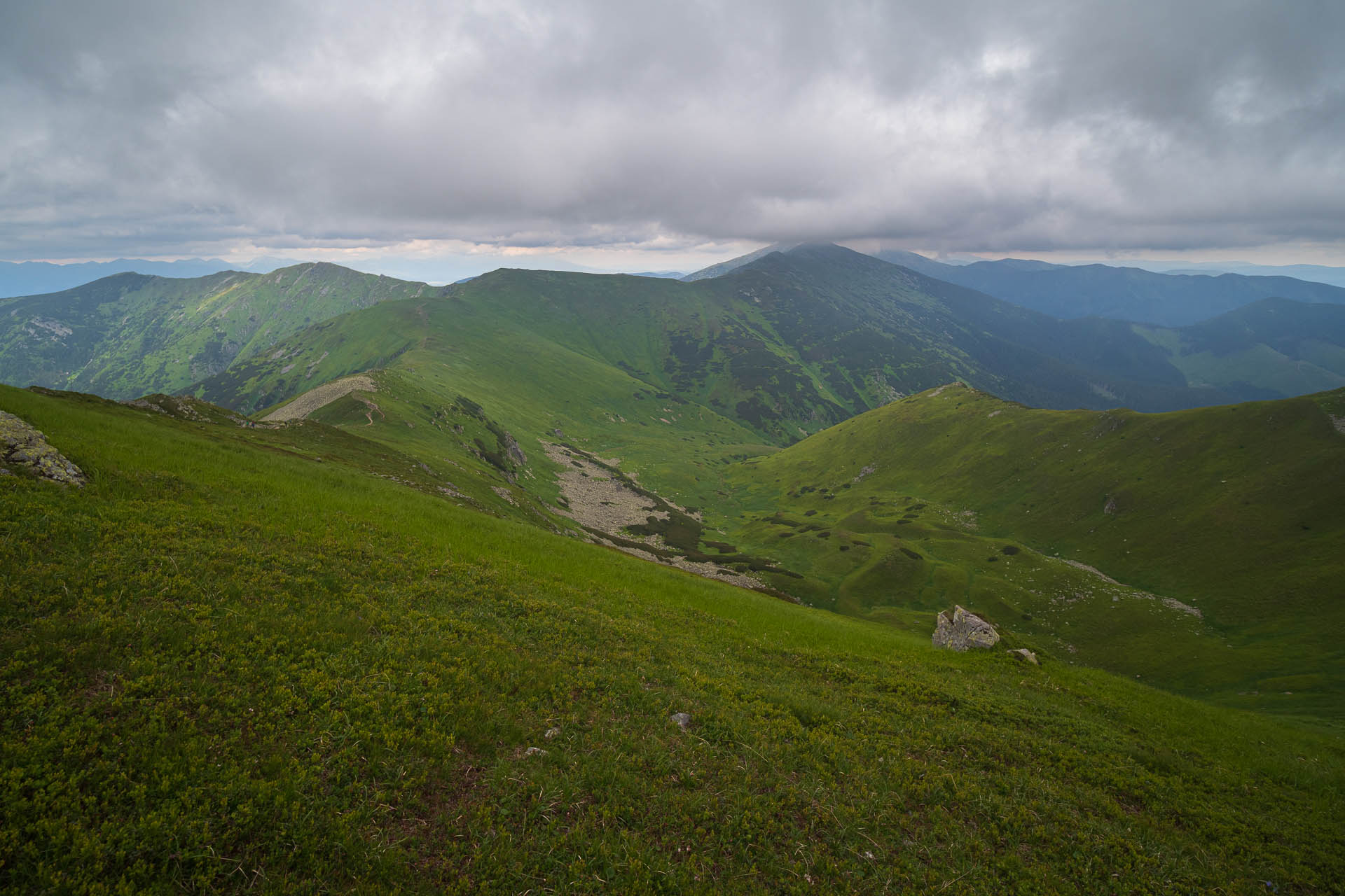 Chabenec z Jasnej pod Chopkom (Nízke Tatry)