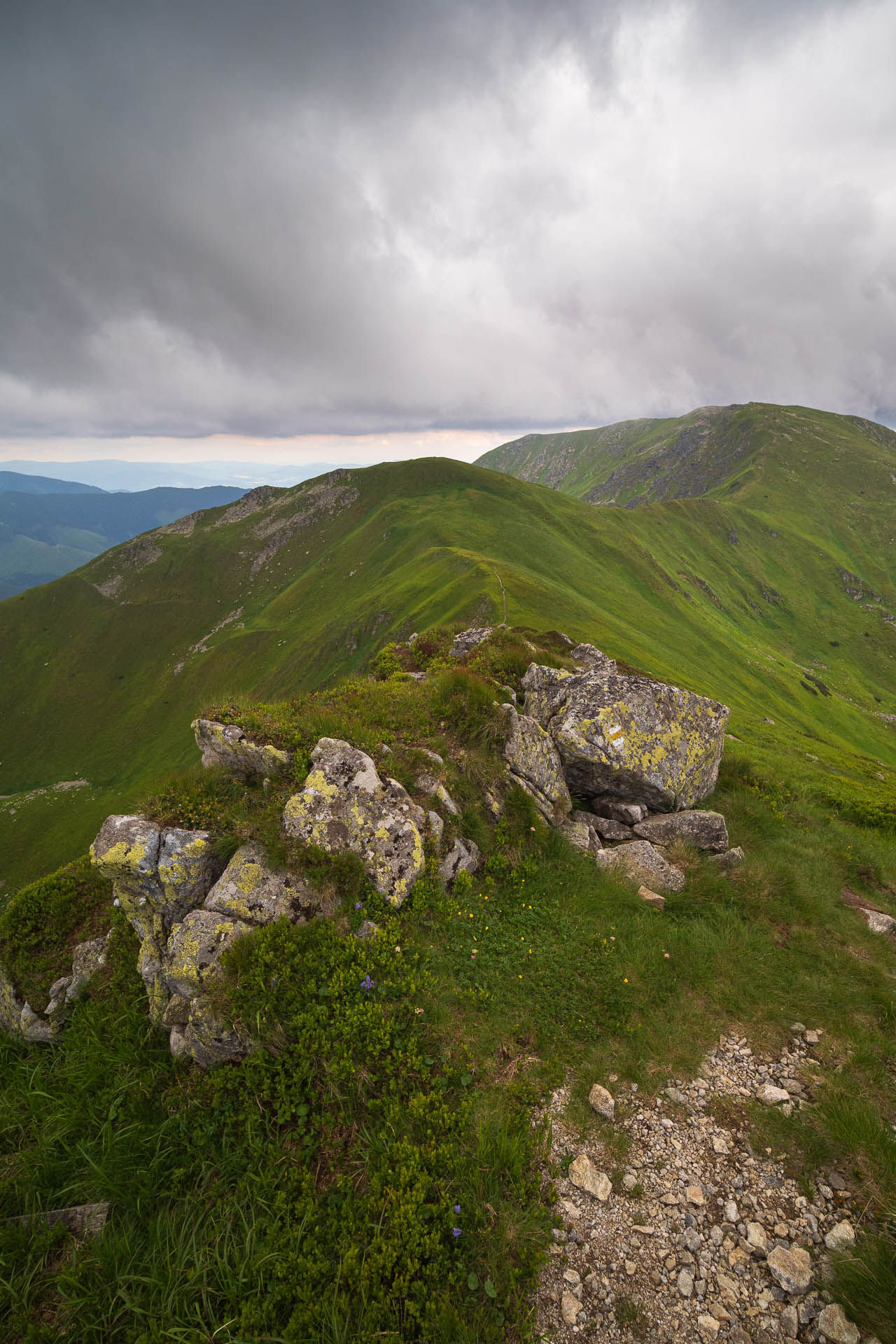 Chabenec z Jasnej pod Chopkom (Nízke Tatry)