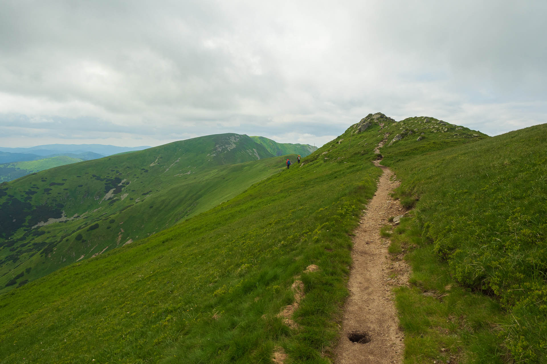 Chabenec z Jasnej pod Chopkom (Nízke Tatry)