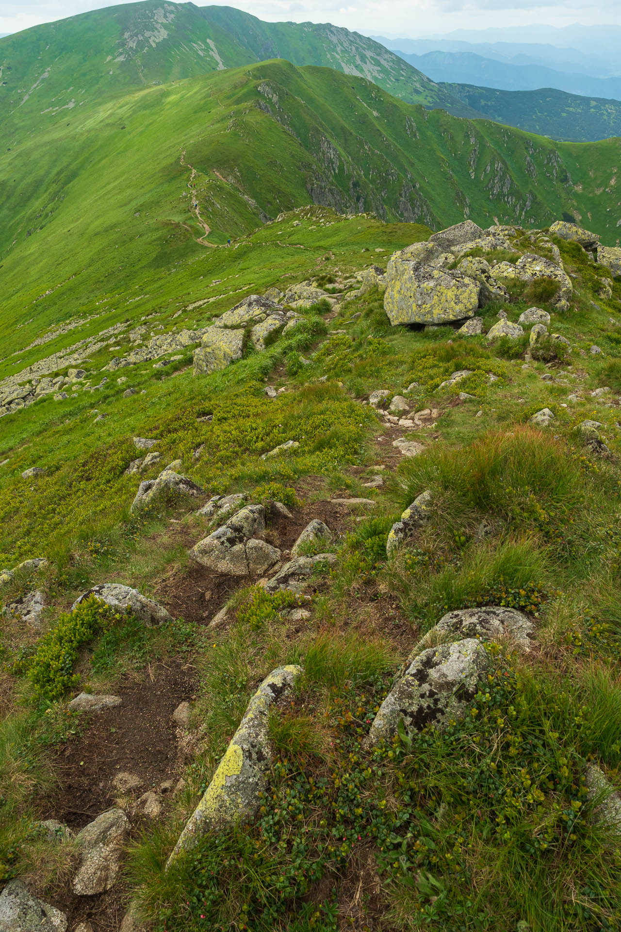 Chabenec z Jasnej pod Chopkom (Nízke Tatry)