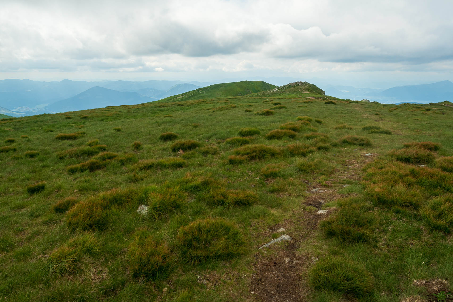 Chabenec z Jasnej pod Chopkom (Nízke Tatry)