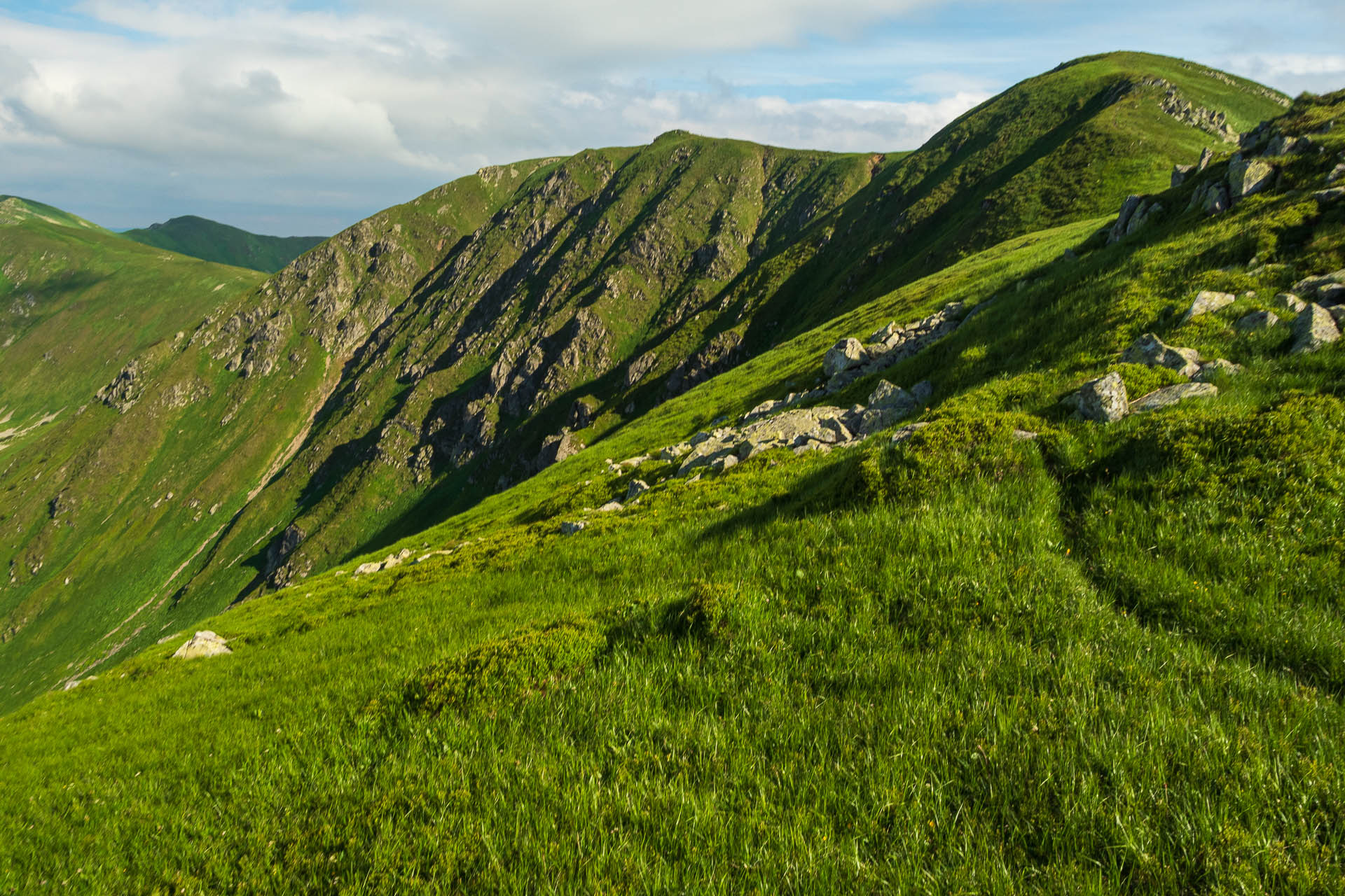 Chabenec z Jasnej pod Chopkom (Nízke Tatry)