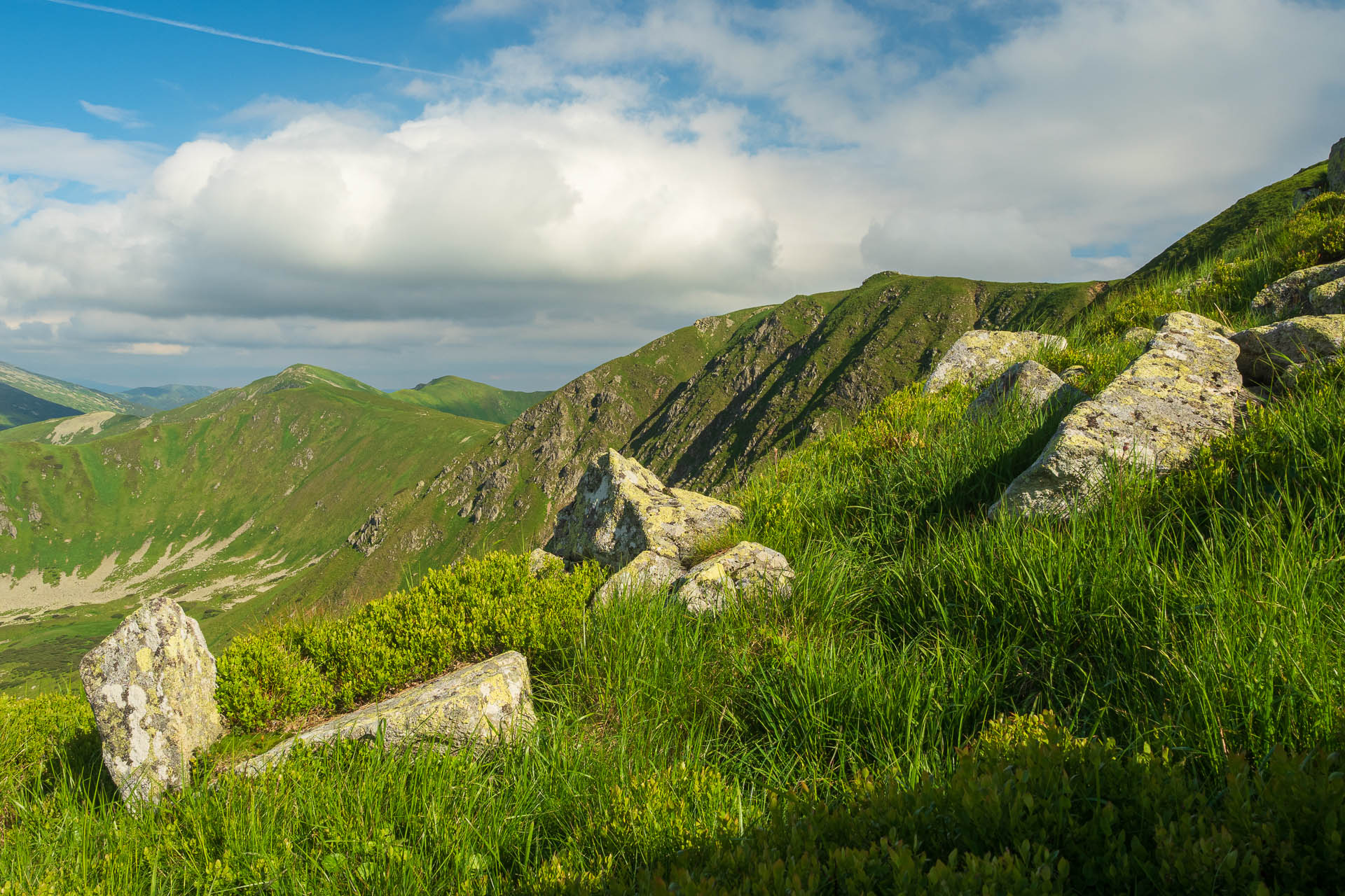 Chabenec z Jasnej pod Chopkom (Nízke Tatry)