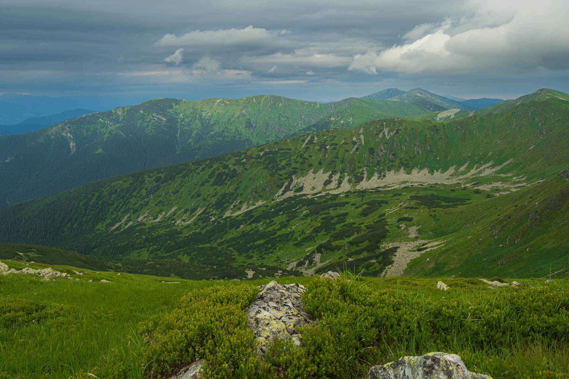 Chabenec z Jasnej pod Chopkom (Nízke Tatry)