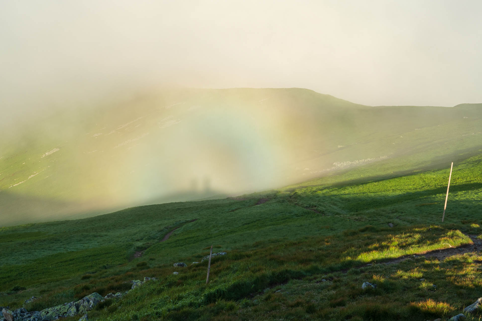 Chabenec z Jasnej pod Chopkom (Nízke Tatry)