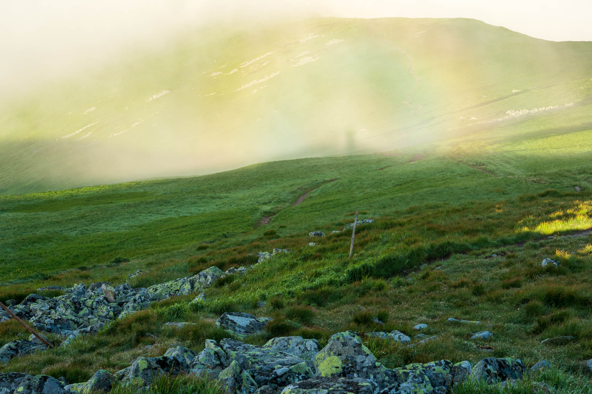 Chabenec z Jasnej pod Chopkom (Nízke Tatry)