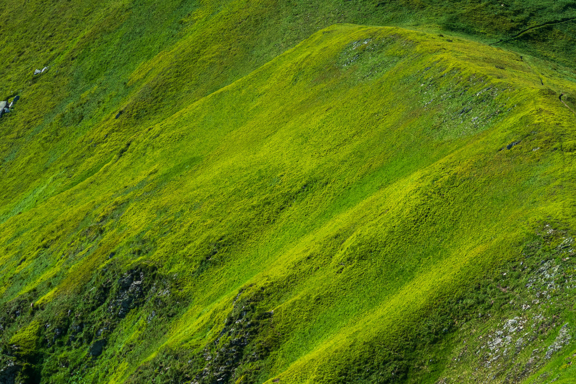 Chabenec z Jasnej pod Chopkom (Nízke Tatry)