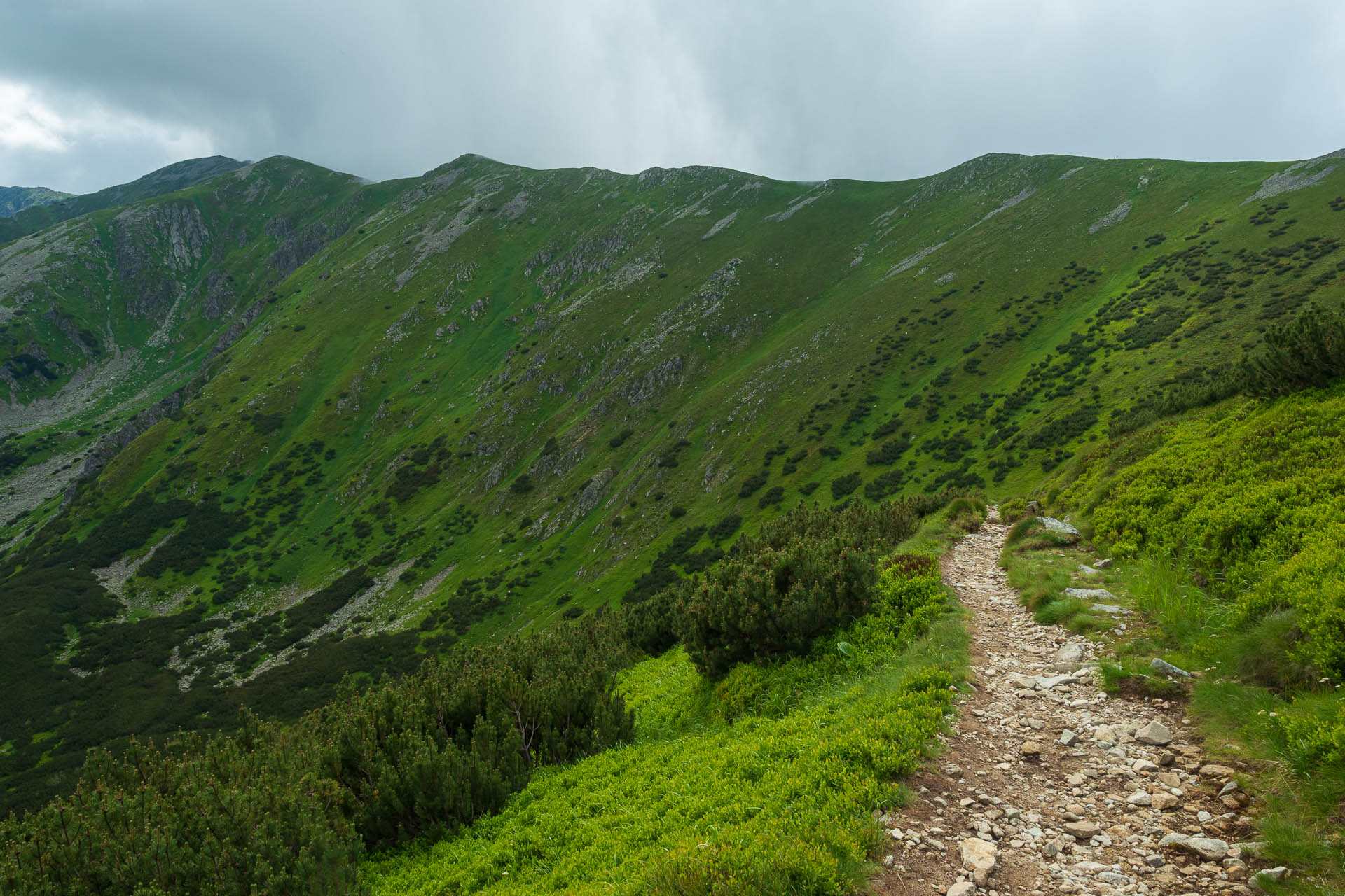 Chabenec z Jasnej pod Chopkom (Nízke Tatry)