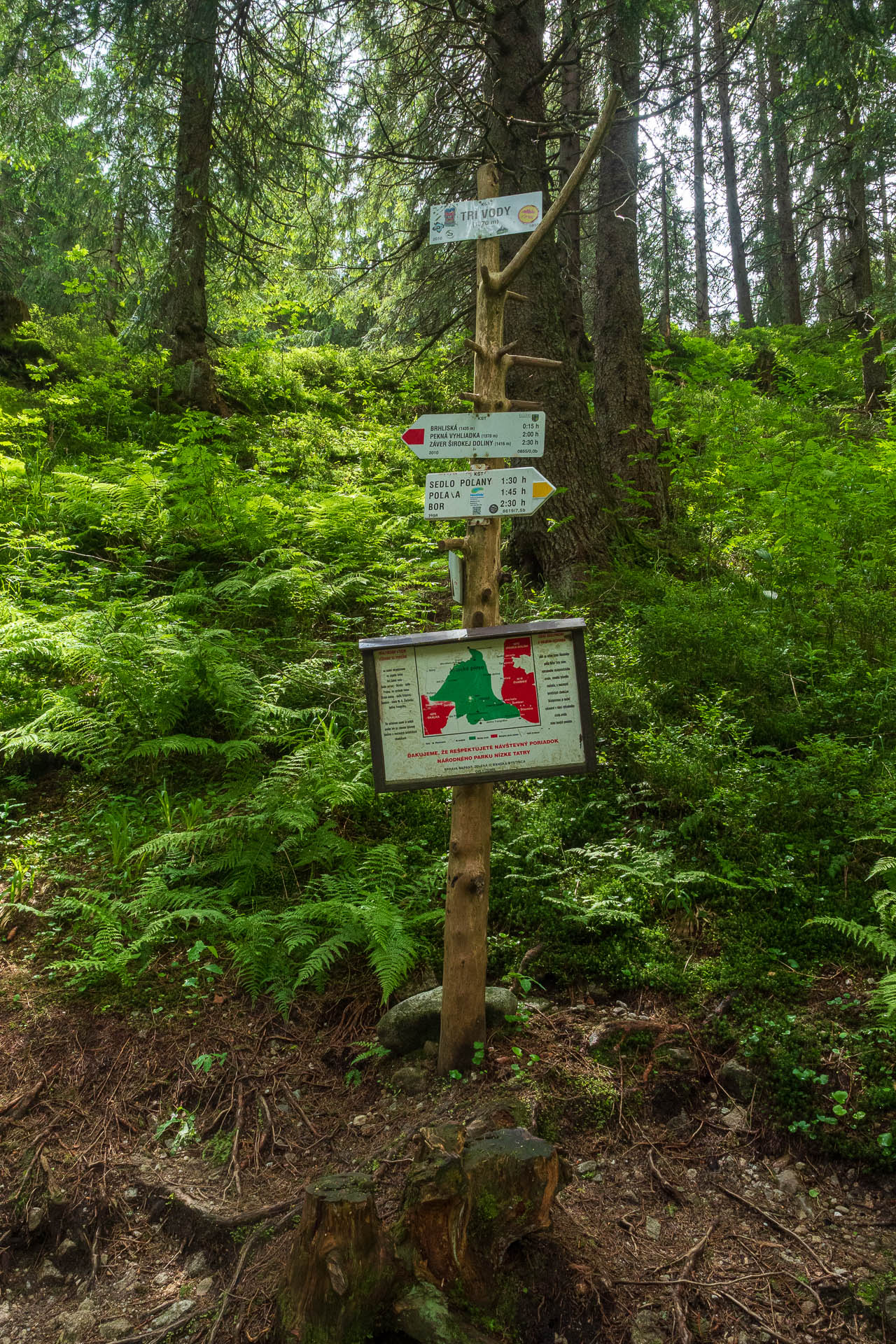 Chabenec z Jasnej pod Chopkom (Nízke Tatry)