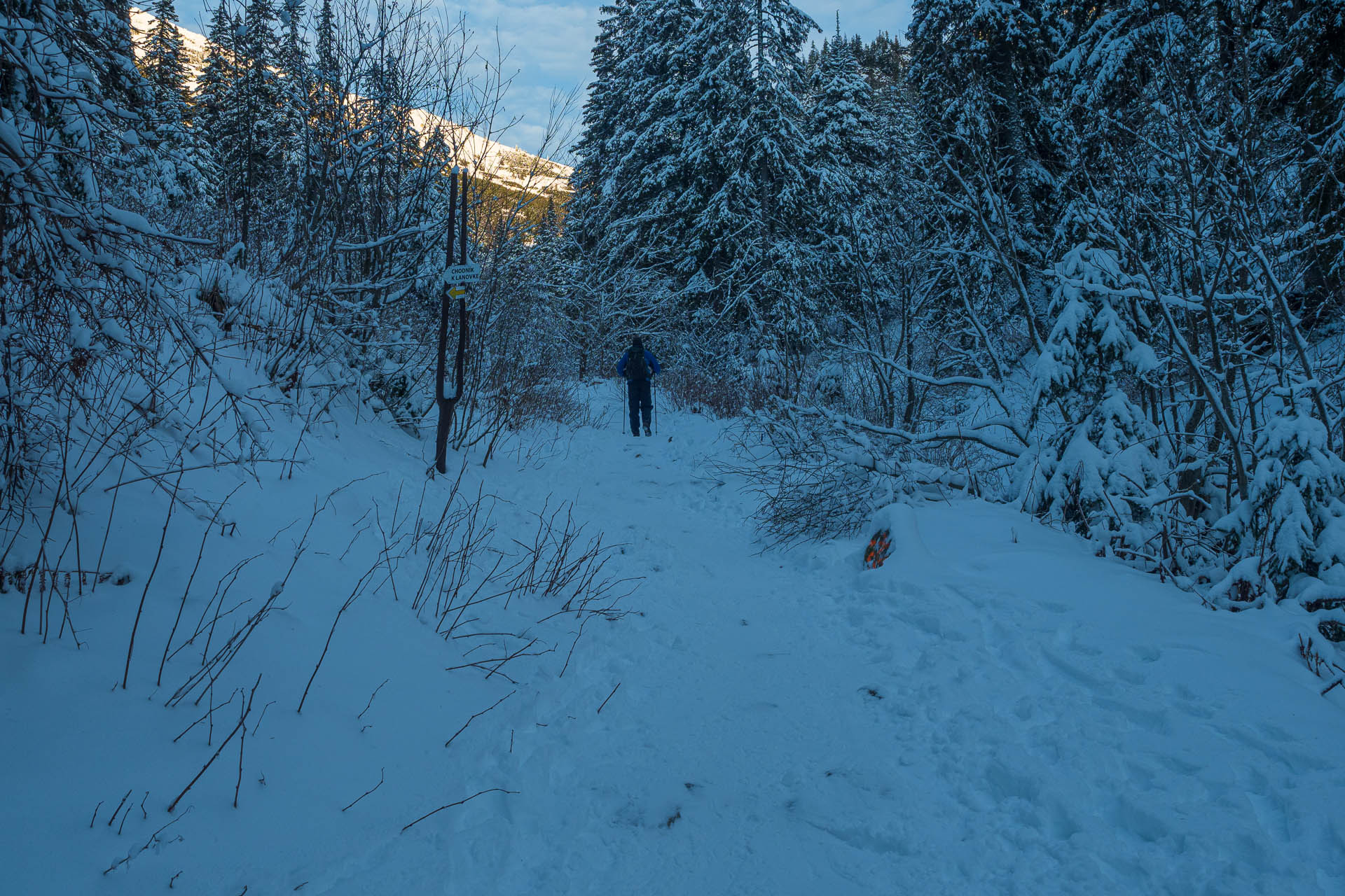 Ďumbier z Trangošky a Geminidy (Nízke Tatry)