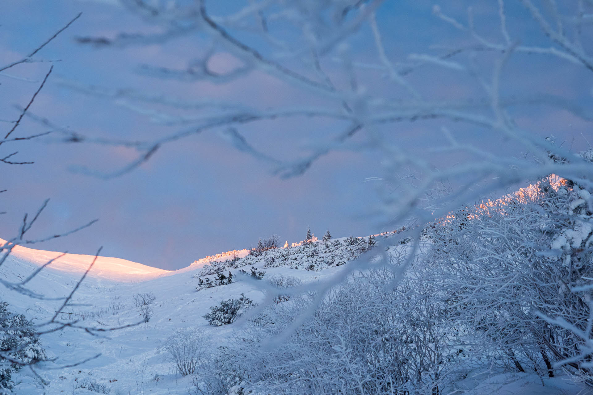 Ďumbier z Trangošky a Geminidy (Nízke Tatry)