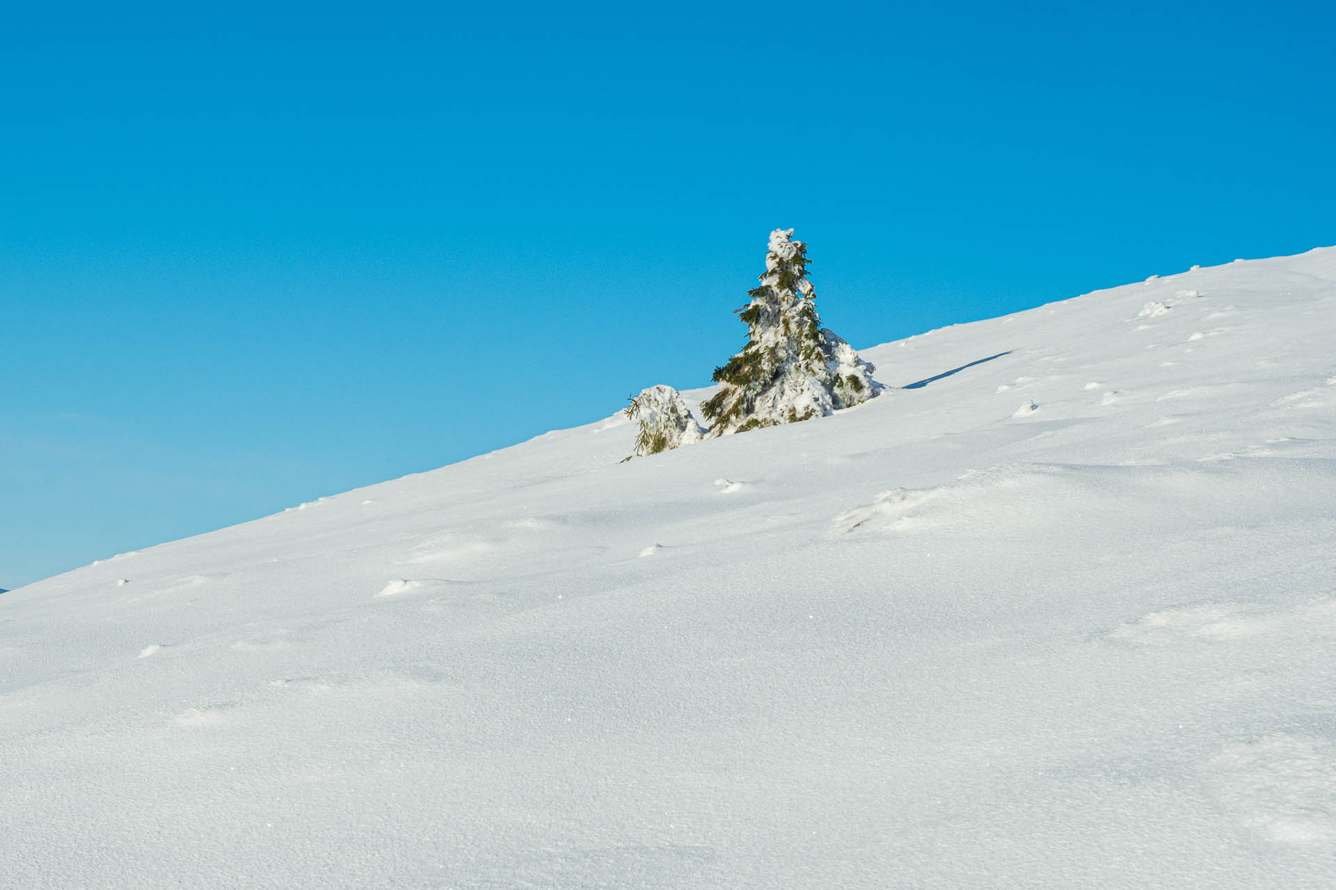 Ďumbier z Trangošky a Geminidy (Nízke Tatry)