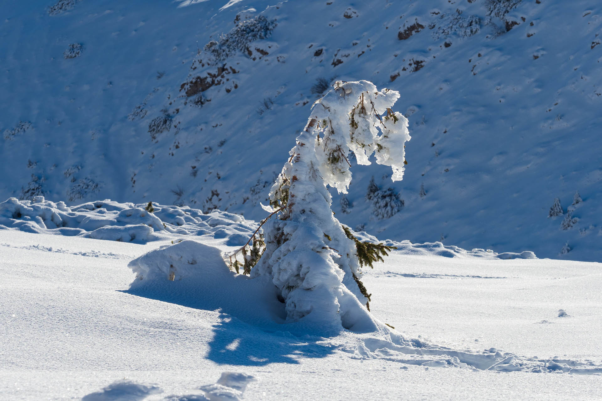 Ďumbier z Trangošky a Geminidy (Nízke Tatry)