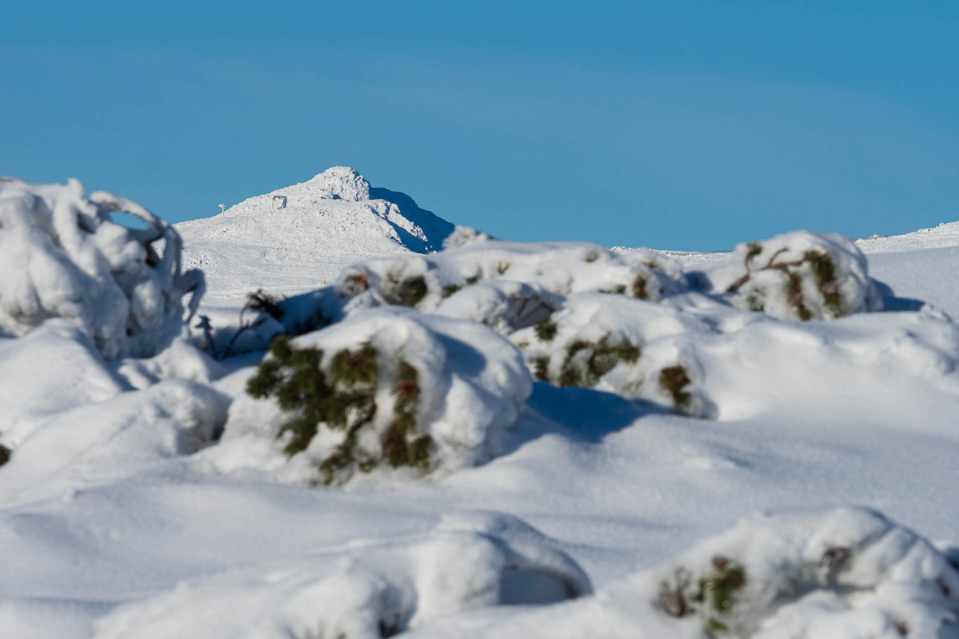 Ďumbier z Trangošky a Geminidy (Nízke Tatry)