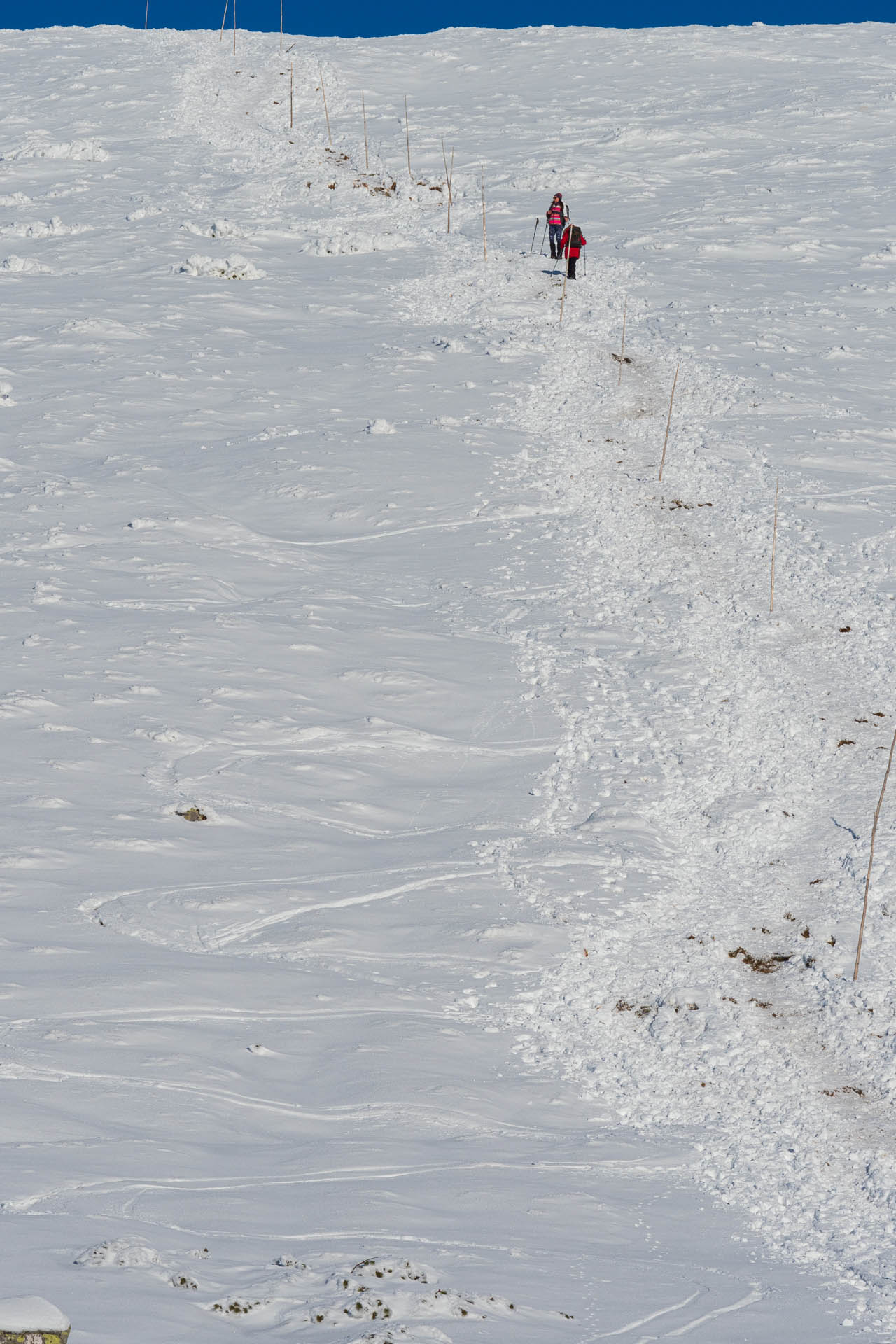 Ďumbier z Trangošky a Geminidy (Nízke Tatry)