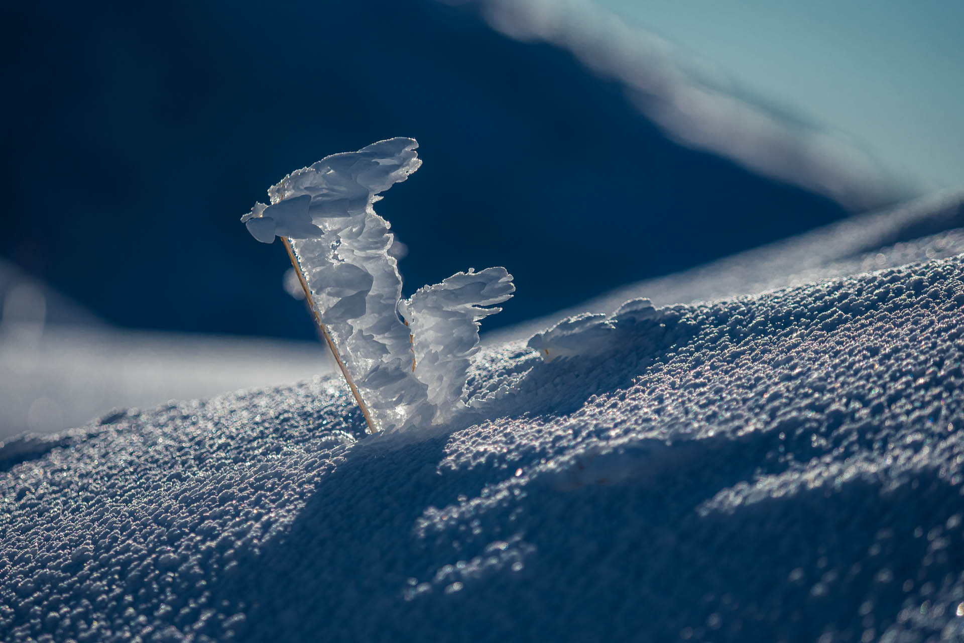 Ďumbier z Trangošky a Geminidy (Nízke Tatry)