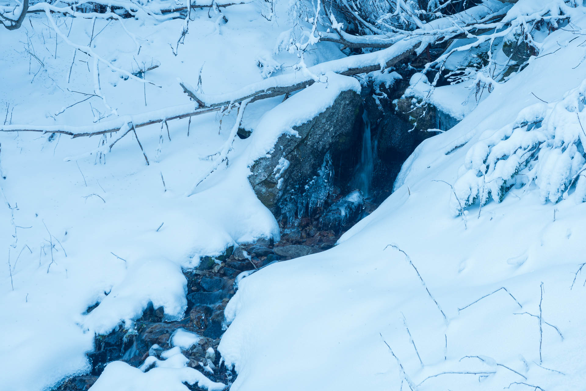 Ďumbier z Trangošky a Geminidy (Nízke Tatry)