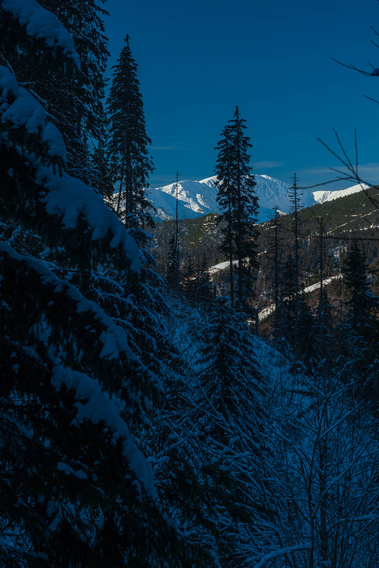 Ďumbier z Trangošky a Geminidy (Nízke Tatry)