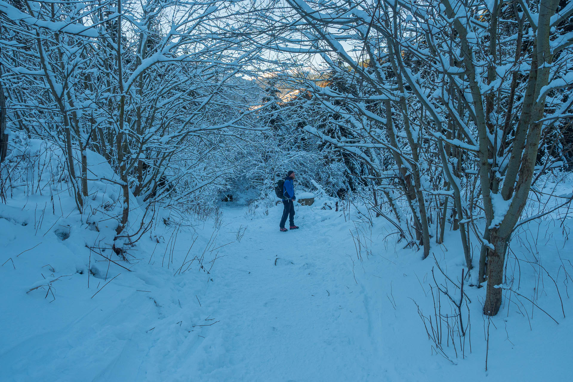 Ďumbier z Trangošky a Geminidy (Nízke Tatry)