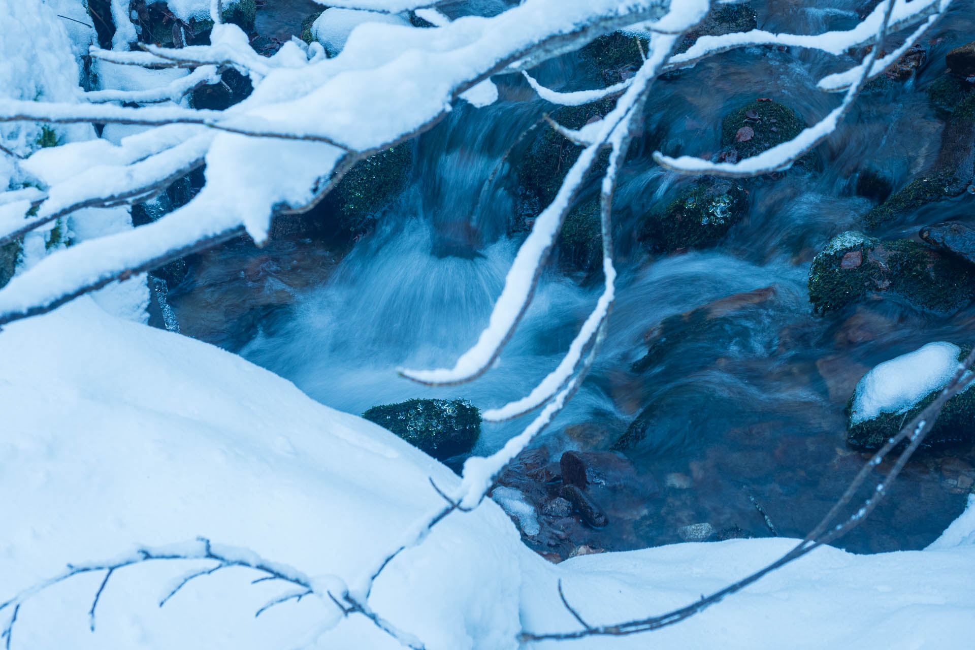 Ďumbier z Trangošky a Geminidy (Nízke Tatry)